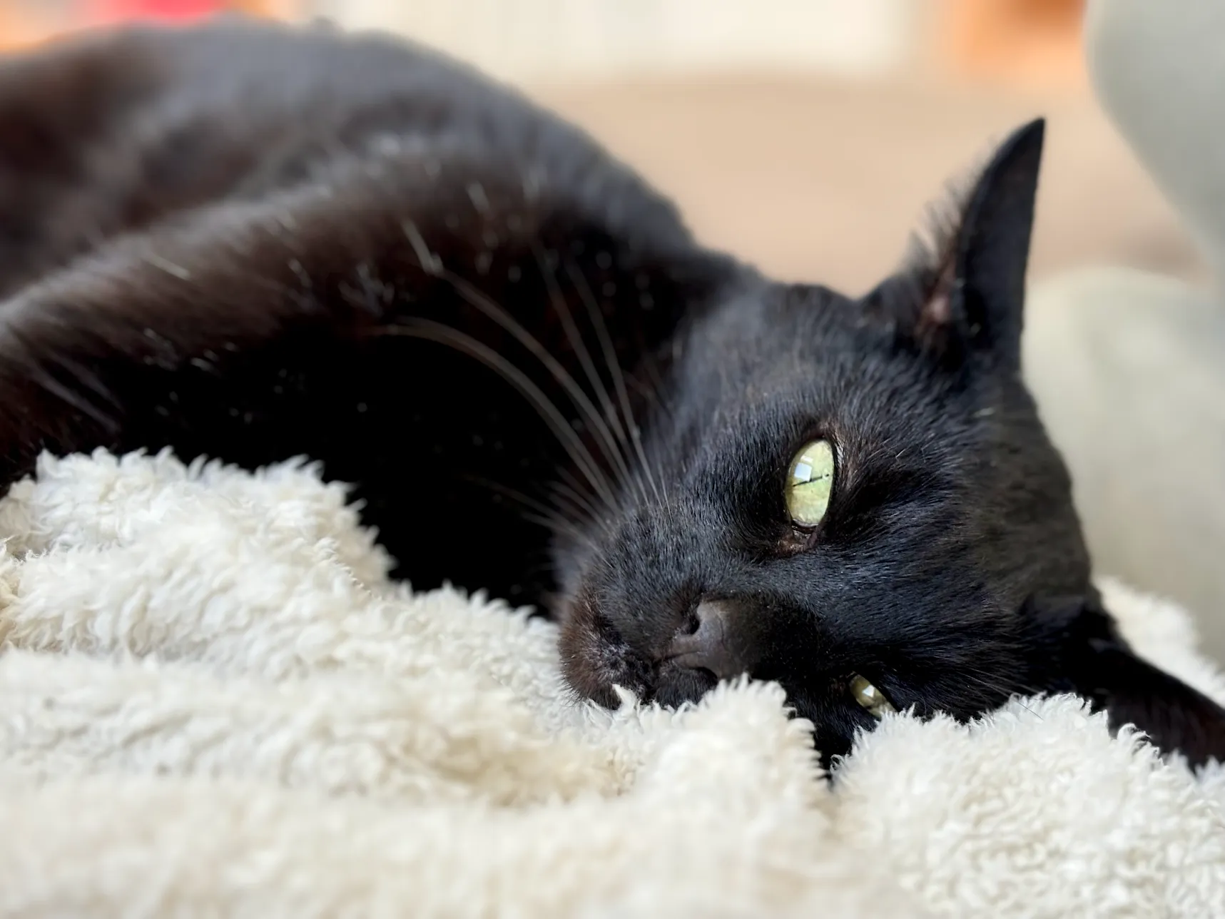 Review image 2 from Fabrizio Lipari